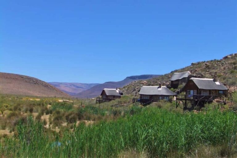 Cape Town: Aquila Reserve safari with lunch & wine tasting - Exploring the Itinerary in Detail