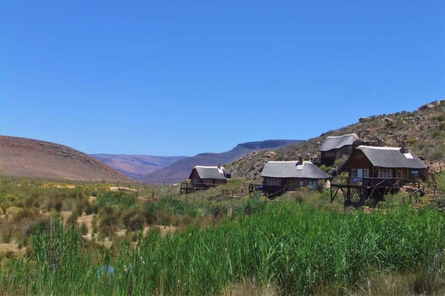 Cape Town: Aquila Reserve safari with lunch & wine tasting - Exploring the Itinerary in Detail