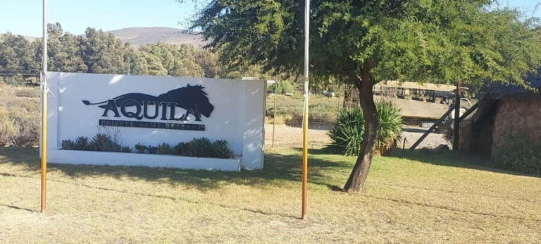 Cape Town - Aquila Safari - An Overview of the Aquila Safari Experience