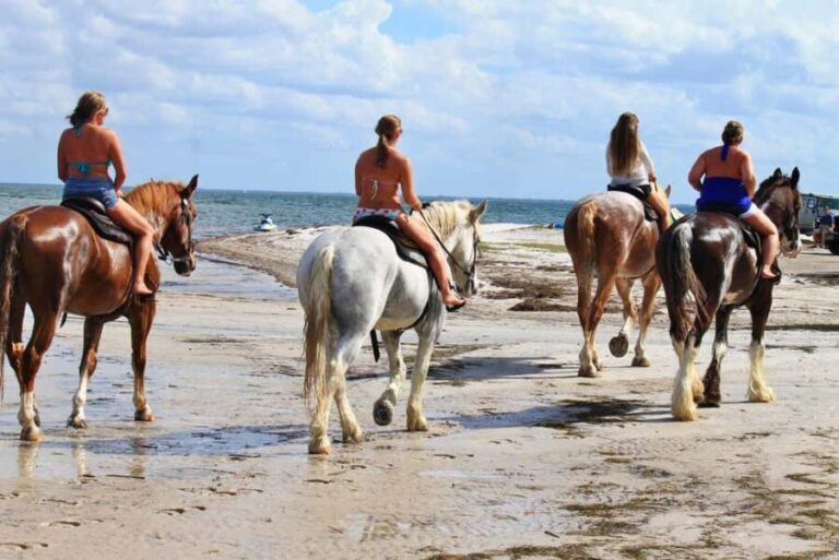 Cape Town: Beach Horse Ride with Hotel Pickup & Drop-off - The Scenic and Cultural Context