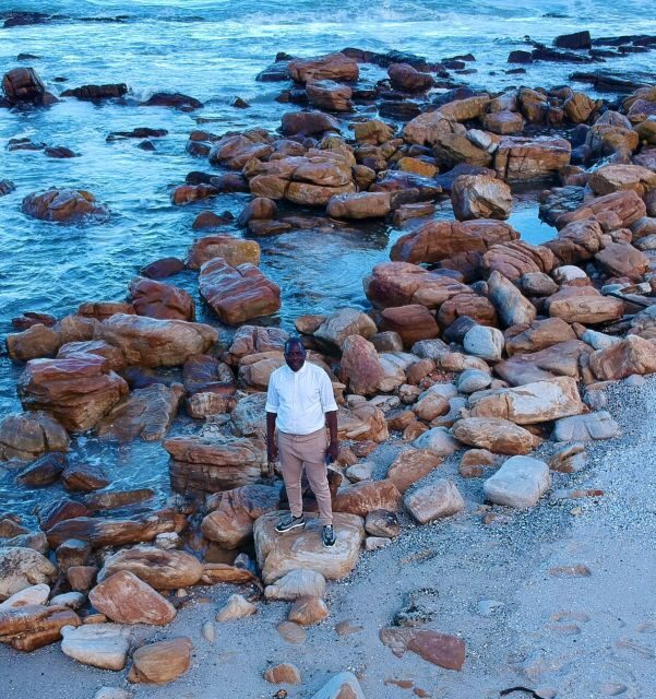 Cape Town: Cape of Good Hope & Penguins Full-Day Guided Tour - What to Expect: Practicalities and Pacing