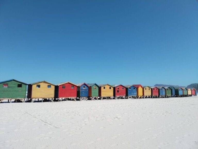 Cape Town: Cape of Good Hope, Penguins Instagram shared Tour - Sunset at Camps Bay Beach