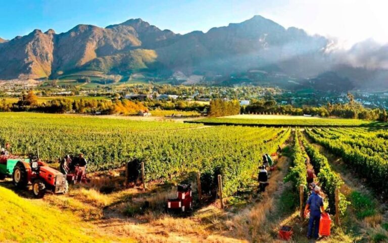 Cape Town: Cape Peninsula and Wine Route Tour - Discovering the Cape Peninsula: Coastal Beauty and Unique Towns
