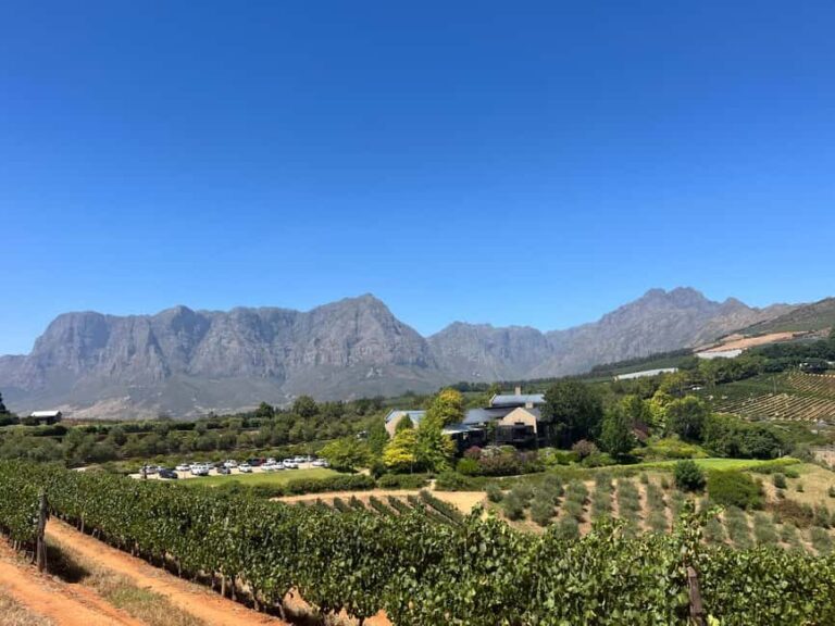 Cape Town: Cape Winelands Tour with Wine Tasting - Who Will Love This Tour?