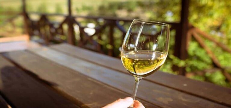 Cape Town: Cheetah Outreach and Winelands Day Tour - Who Will Enjoy This Tour?