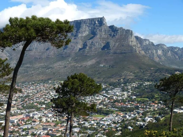 Cape Town City Small Group Day Tour - The Sum Up: Is This Tour Right for You?