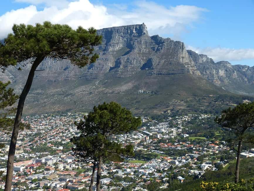 Cape Town City Small Group Day Tour - The Sum Up: Is This Tour Right for You?