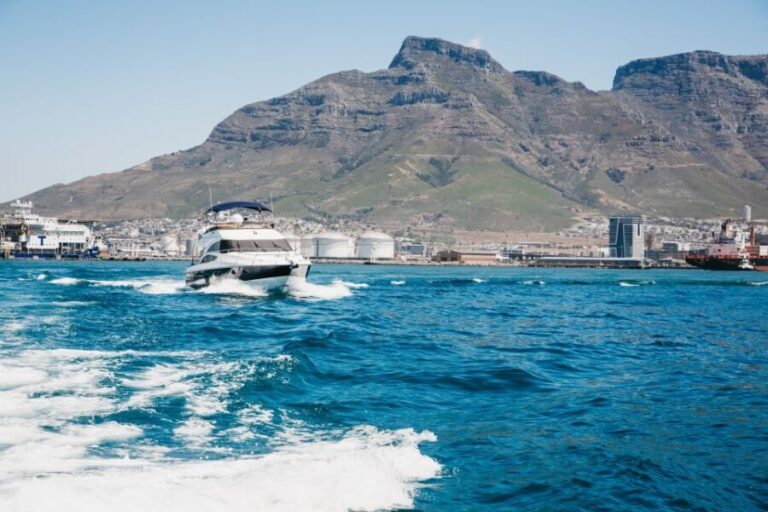 Cape Town: Coastal Cruise & 14-piece Sushi Meal - Who Is This Tour Best For?