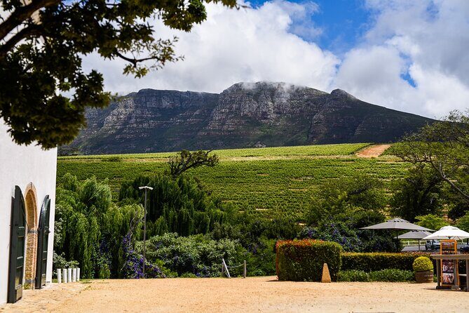 Cape Town: Constantia Wine Route Tour - Why This Tour Offers Great Value
