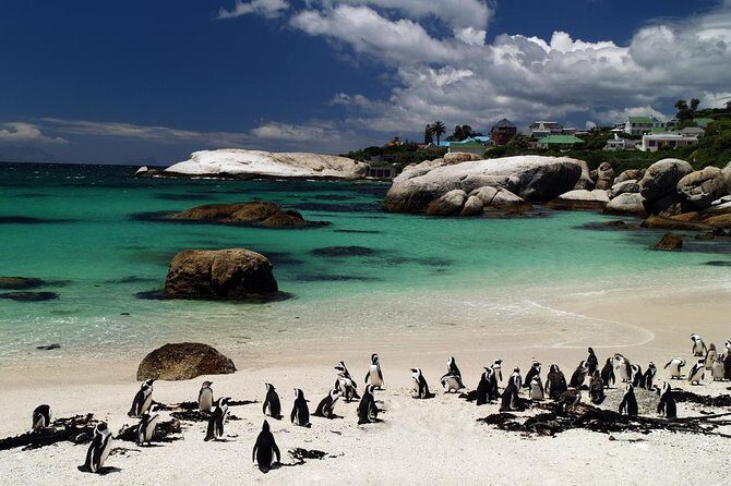 Cape Town Day Tours - Who Should Book This Tour?