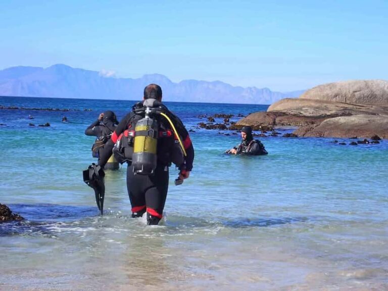 Cape Town: Discover Scuba Diving - 1 day experience - What’s Included and What’s Not