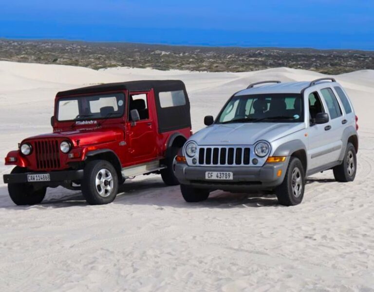 CAPE TOWN: GLAM SANDBOARDING IN ATLANTIS DUNES WITH WILDX - The Cost and Its Value