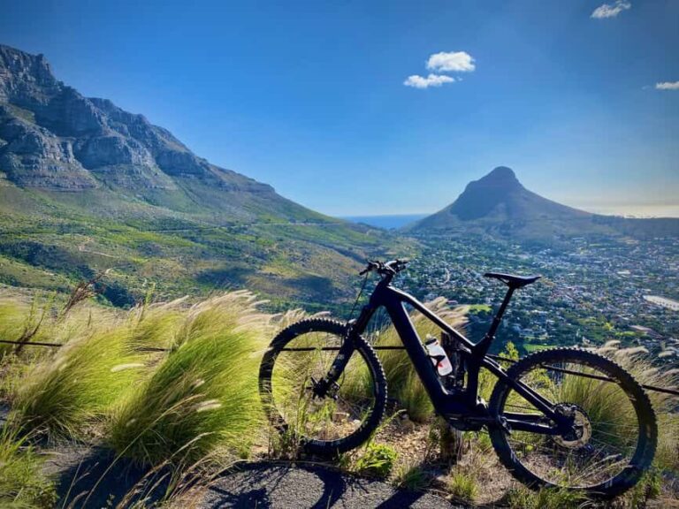 Cape Town: Guided eBike Tour with Signal Hill and Clifton - Who Is This Tour Best For?