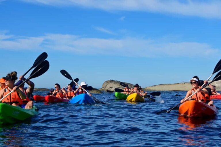 Cape Town: Guided Kayak Tour of Clifton Beaches & The Coast - Why This Tour Offers Great Value