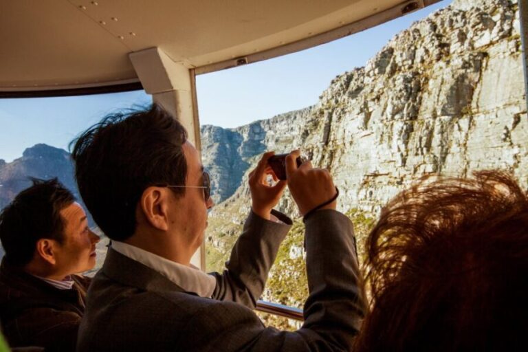 Cape Town: Half-Day City Tour - Genuine Feedback from Travelers