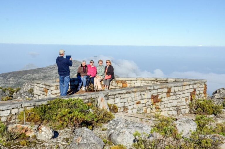 Cape Town: Half Day Table Mountain and Cape Town City Tour - Who Will Love This Tour?