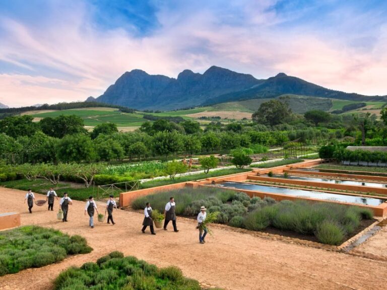 Cape Town: Half-Day Wineries and Tastings Small Group Tour - What Makes This Tour Stand Out
