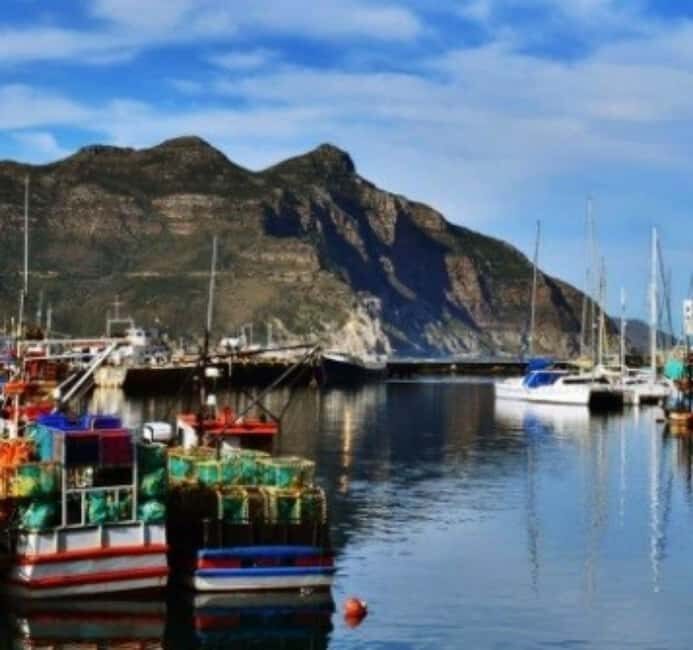 Cape Town: houtbay scenic tour ,seal island ,world of birds. - The Magic of the World of Birds