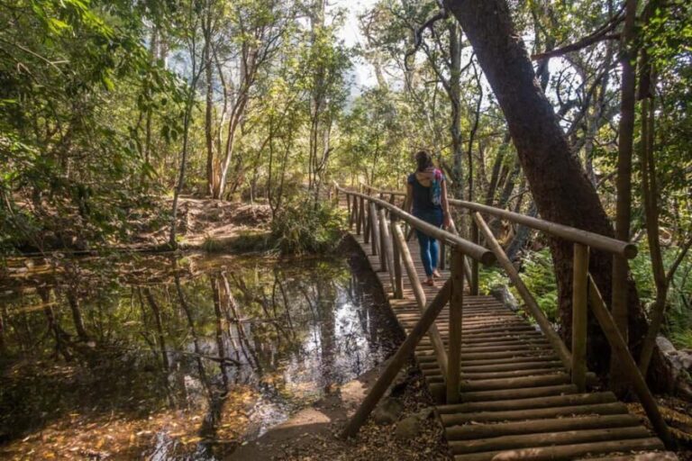 Cape Town: Kirstenbosch Botanical Garden Entry Ticket - What Makes Kirstenbosch Special?