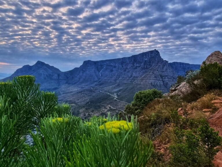 Cape Town: Lions Head Hike & Picnic - What to Expect on the Tour