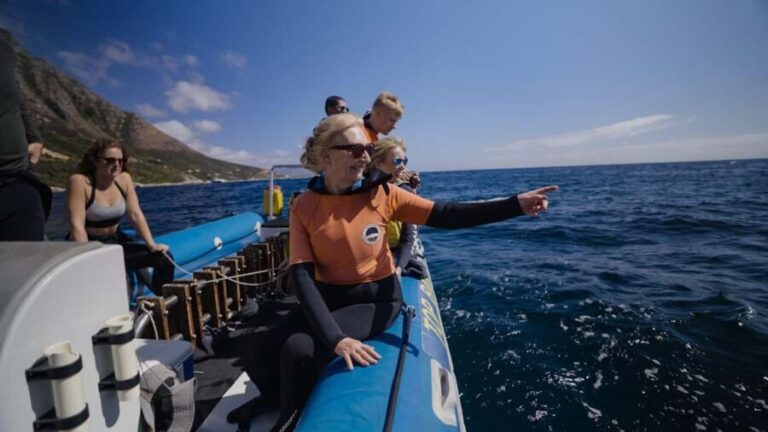 Cape Town: Marine Big 5 Ocean Safari & Research Expedition - Practical Details