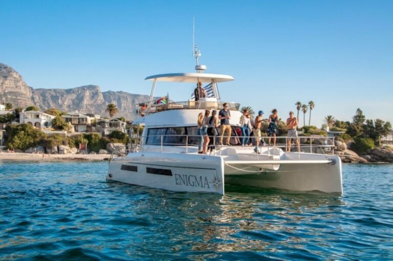 Cape Town: Morning Prosecco Cruise & Mimosa Breakfast - Final Thoughts: Who Is This Tour Best For?