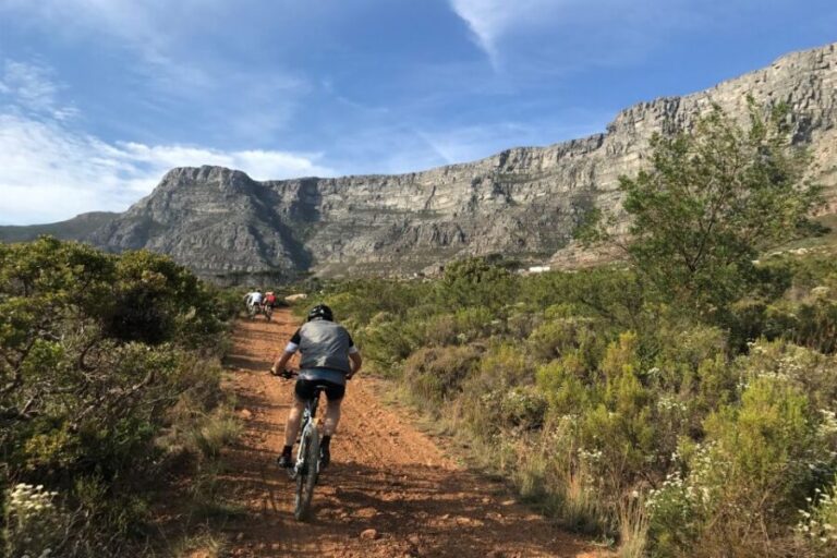 Cape Town: Mountain Biking Trip along Table Mountain - Who Should Consider This Tour?