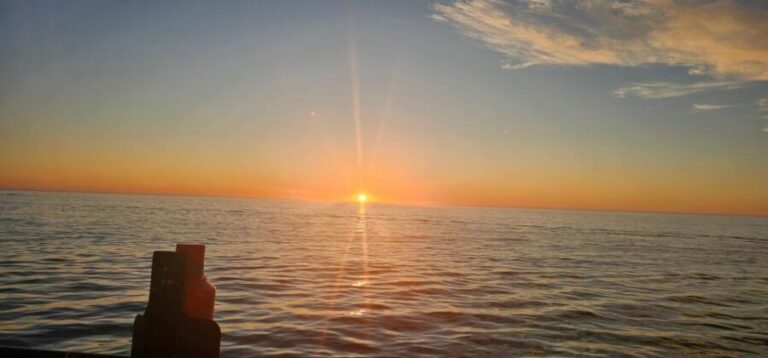 Cape Town: Ocean Safari 1 Hour - The Boat & Comfort