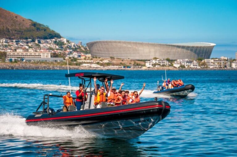 Cape Town Ocean Safari: Speed Boat Adventure in Table Bay - The Experience: What to Expect