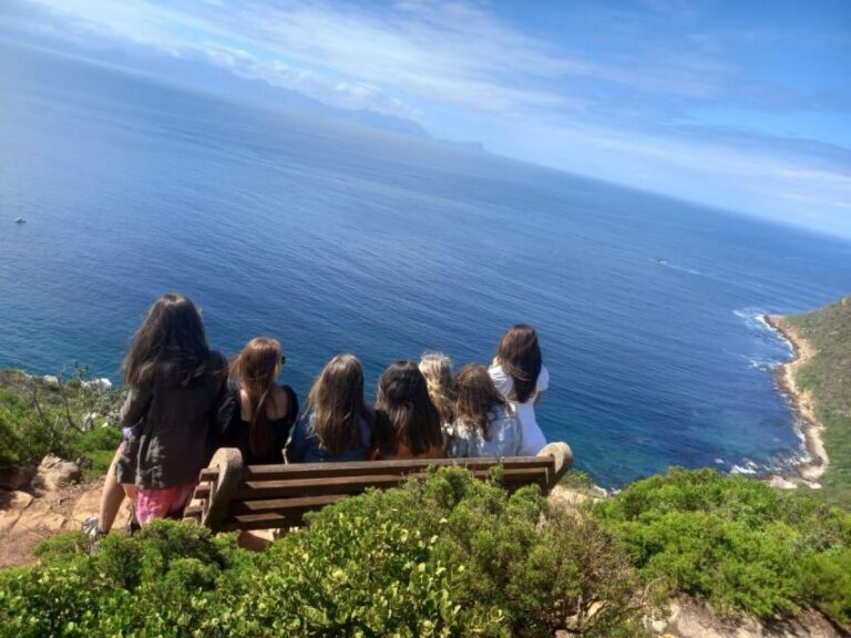 Cape Town: Penguins & Cape of Good Hope Half-Day Tour - The Experience of Guides and Group Dynamics