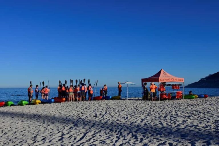 Cape Town: Private Guided Kayak Tour - Assessing the Value