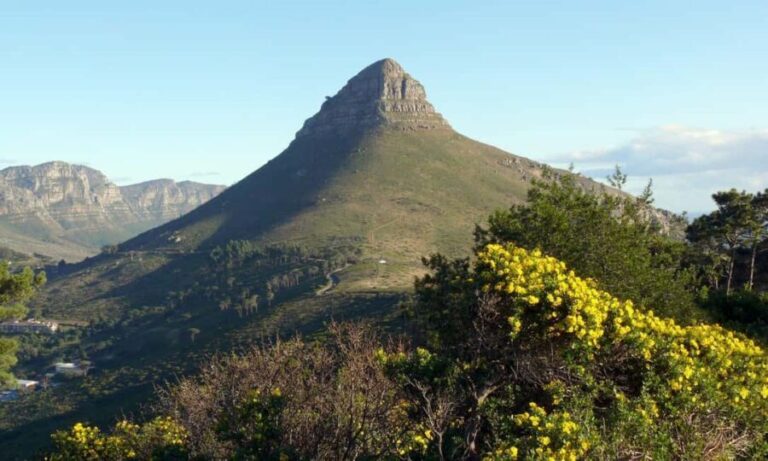 Cape Town: Private Half day Hiking tour to Lion head - Analyzing the Value