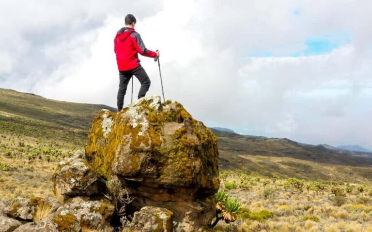 Cape Town: Private Table Mountain Guided Hike with Pickup - Whats Included and Whats Not