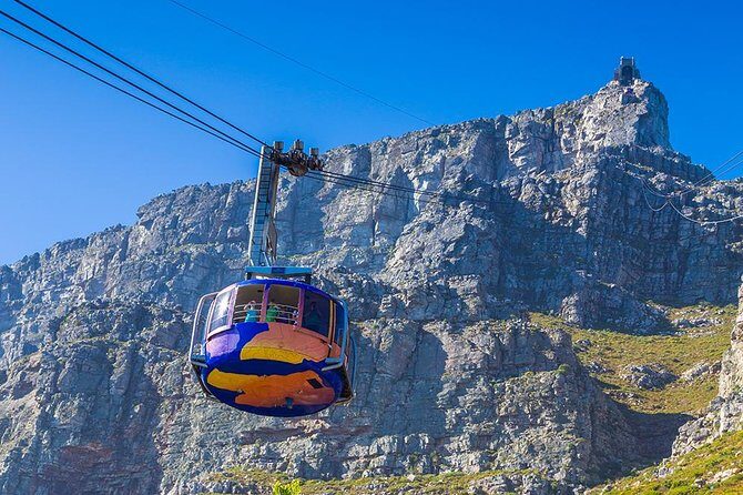 Cape Town Private Tour: Table Mountain Car & Cape Point Penguins - An In-Depth Look at the Cape Town Private Tour