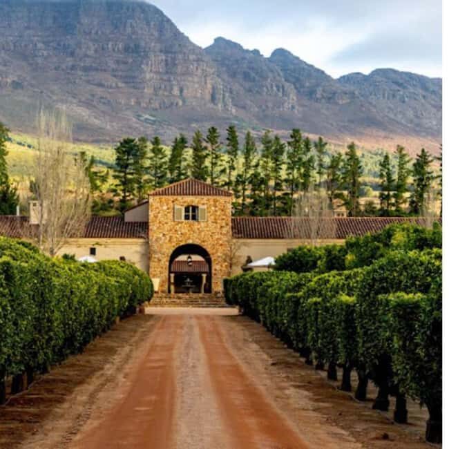 Cape Town: Private Wine Tour with Tastings and Lunch - Practical Tips for a Great Experience