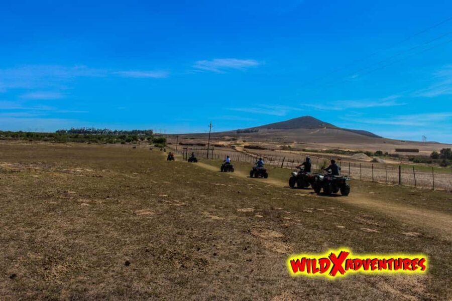 CAPE TOWN: QUAD BIKE FUN RIDE AT OSTRICH RANCH, DURBANVILLE - The Experience on the Trails