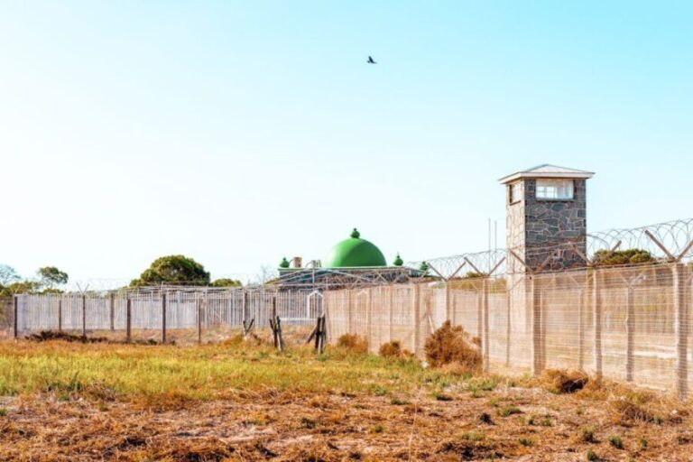 Cape Town: Robben Island Ferry Tour with 1-Way Hotel Pickup - Price, Value, and Practical Tips