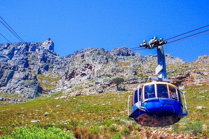 Cape Town Shore Tour: Table Mountain, Penguin & Cape Point - The Itinerary: What You’ll Experience