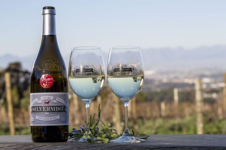 Cape Town: Silvermist Estate Wine Tasting & Drumstruck Show - What Reviewers Say