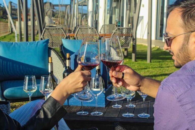 Cape Town: Stellenbosch and Franschhoek Wine Tasting Tour - What the Experience Feels Like