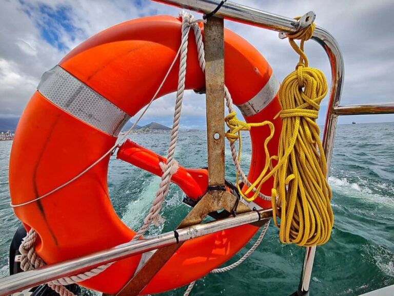 Cape Town: Table Bay Cruise by Catamaran - The Highlights and Why They Matter