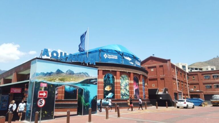 Cape Town: Table Mountain and Robben Island Tour - What To Expect at Each Stop