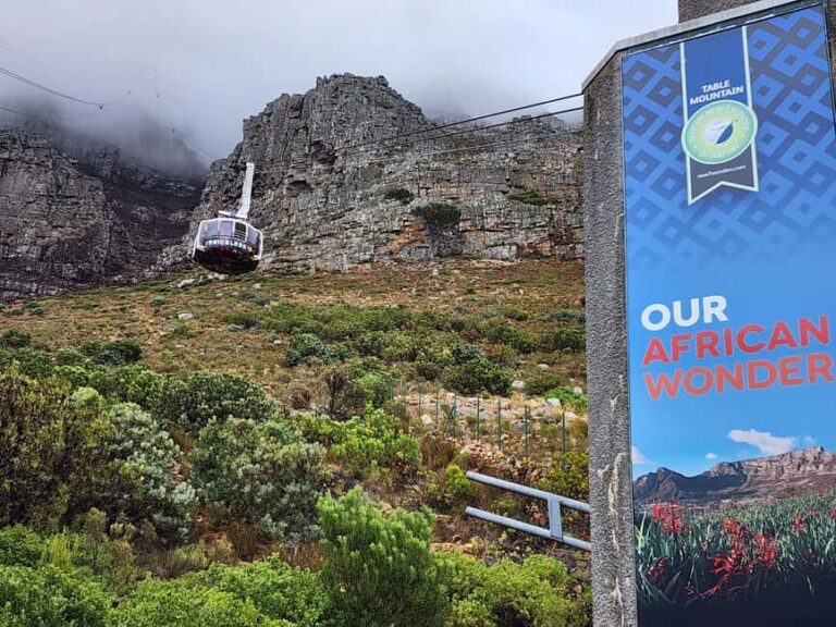 Cape Town: Table Mountain and stellenbosch Big Cats Park - FAQ