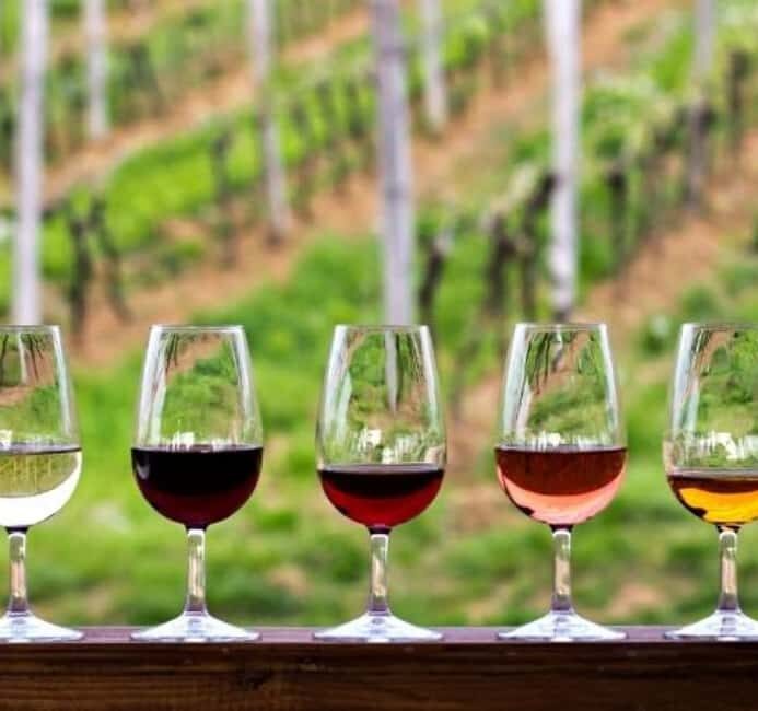 Cape Town: Table Mountain, Bo-Kaap, and wine tasting & more - How the Experience Comes Together