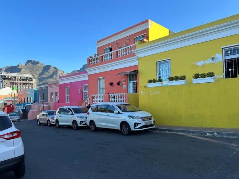 Cape town: Table Mountain Boulder's Beach and Cape Point - Why This Tour Works