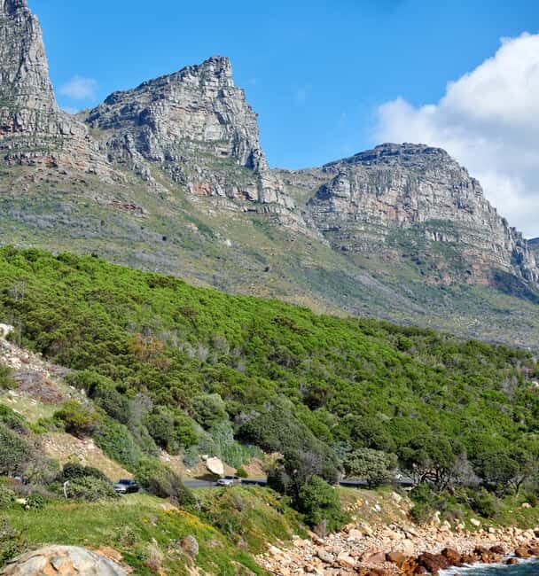 Cape Town: Table Mountain, Cape of Goodhope & Penguins Tour - Who Will Love This Tour?