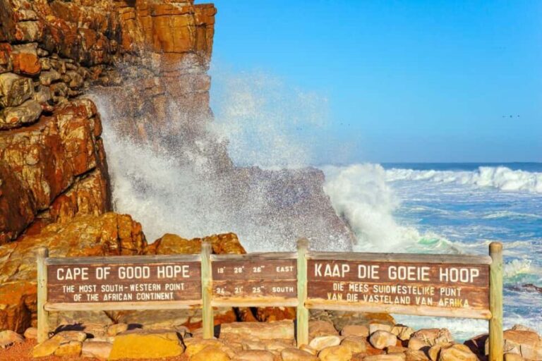 Cape Town: Table Mountain, Cape Point, and Penguins Tour - Value for Money and Practical Considerations