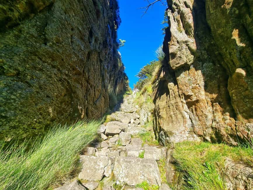 Cape Town: Table Mountain Group Hike via Platteklip Gorge - The Itinerary: What You Can Expect