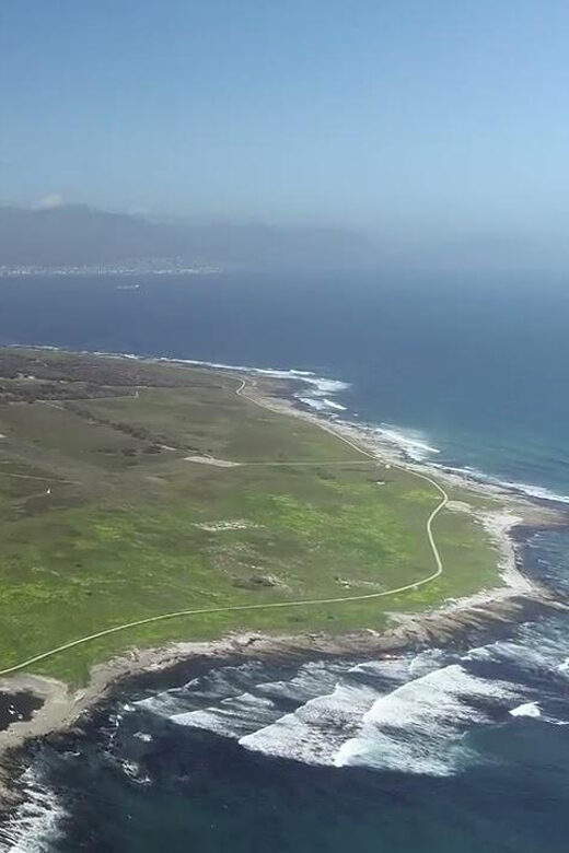 Cape Town: Table Mountain Half Day Tour - Who Will Enjoy This Tour?