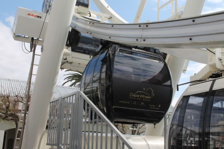 Cape Town: The Cape Wheel Ticket - The Views From Above